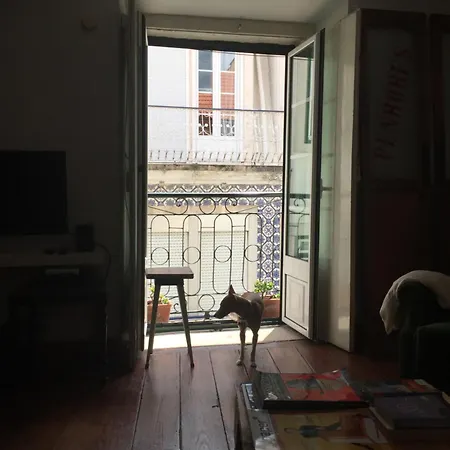 Oak Valley Flats Bairro Alto Apartment